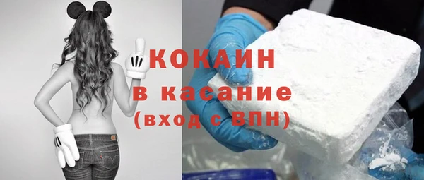 дживик Гусь-Хрустальный