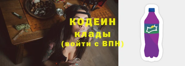 дживик Гусь-Хрустальный