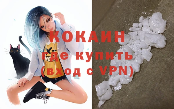стаф Гусев