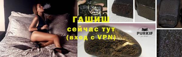 стаф Гусев