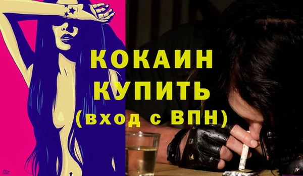 стаф Гусев