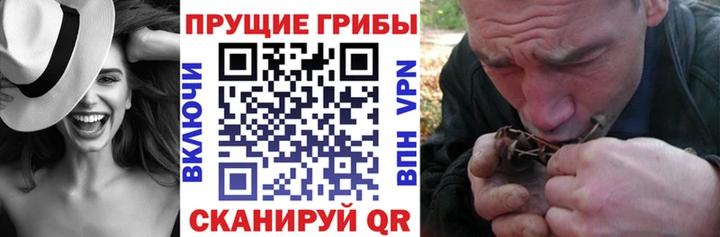 Купить где  Сельцо  Галлюциногенные грибы ЛСД 